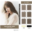 티씨앤 | 밀본 밝은 새치커버 | 크리스탈 하이브라이트 셀프염색 후기 | 토프그레이지