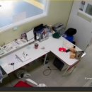 T&T 태권도장 이미지