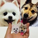 달콩이 | 사진 한 장으로 완성🐶 달콩이&amp;도담이 맞춤 키링 제작 후기💛