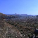 마당발부동산중개사무소 이미지