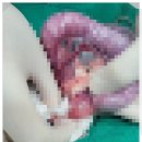 마음을 읽어주는 마음동물병원 이미지