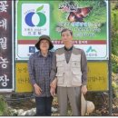 유룡리농장 Daum카페