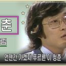 청춘정류장 Daum카페