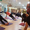 밸런스요가 이미지