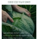 (주)올즙 | 올즙 양배추즙 최저가 구매 후기