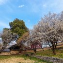 동춘당공원 이미지