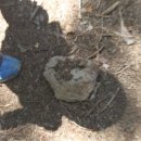 이솝유치원 이미지