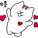 요술곰 동물원 이미지