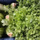 새이천약국 이미지