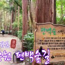 대신공원 숲길 이미지