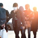 디오펫샵 이미지