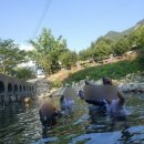 바람에정원 민박 네이버블로그