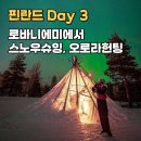 호텔 룩홈(Look Home) | 핀란드 로바니에미 2박 3일(2): 로바니에미 투어 가득한 하루 - 스노우슈잉, 오로라헌팅