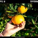 민영농장 이미지