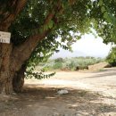 또오래민박 이미지