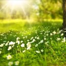 6.25전쟁체험기념관 이미지