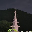 직지심경