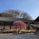 통도사