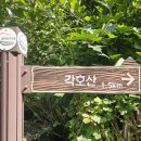수신삼거리 | [민주지산]충북 영동 도마령~각호산~석기봉~삼도봉~물한계곡｜실제 14.15km A·B코스