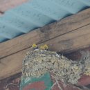 정화여인숙 이미지