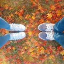 경섭목장 | 2022 올해 가을 단풍시기, 꼭 알아야할 전국 단풍명소 23곳 모음집