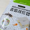 정사각형 트랩 하나로! 공간 차지 없이 좀벌레 박멸하는 네이처커넥트 좀벌레 트랩 후기