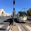 파인짐(FINE GYM) | 샌프란시스코 1일 하루코스 금문교·파인아트·피어39 감성여행 + 바다사자 시즌·짐싸기 팁