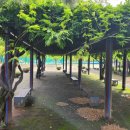 신호공원 | 15분도시 부산 신호공원 방문 후기