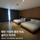 씽씽 노래연습장 | 아기랑 태안여행 숙소 추천! 조용하고 넓었던 솔라고리조트 후기(디럭스 트윈D)