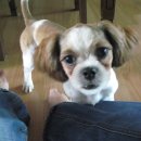 (주)말티 이미지