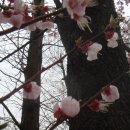 휘경초교 이미지