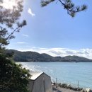 나로힐링캠핑장 이미지