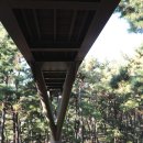 서천세안약국 이미지