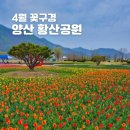 황산공원 서부주차장1번 | 경남 4월 꽃구경 가볼만한곳 양산 황산공원