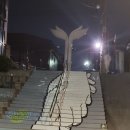 분위기 좋은 대전 술집(사진 추가)... 이미지