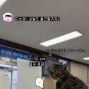 서신파출소 이미지