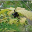 수일여자중학교 이미지