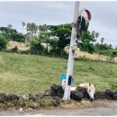 법환동마을회관 이미지