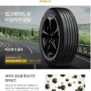 고양화전20 이미지