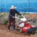 신관농장 이미지