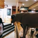 사림동311 이미지