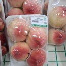 지희농장 이미지