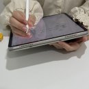 모래시계 | [비비드휴]홍대 퍼스널 컬러 골격 체형진단 모래시계형 후기