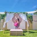 PMF(피티마스터필) 이미지