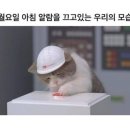 팔공식당 이미지