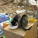 순이농장 이미지