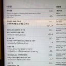 하이발리