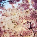 장 미디어 이미지