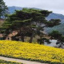 혜림목장 이미지