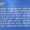 엑스포주차장 이미지